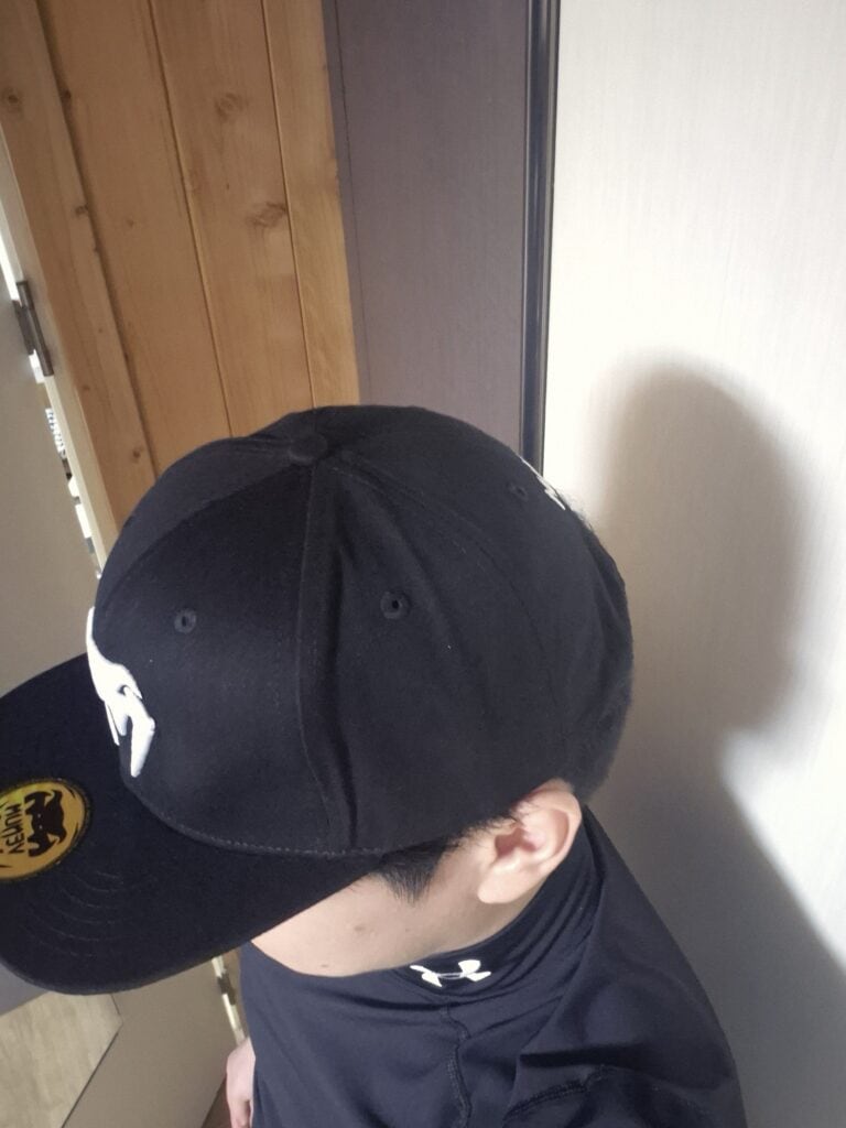 Venum Classic Snapback Worn.