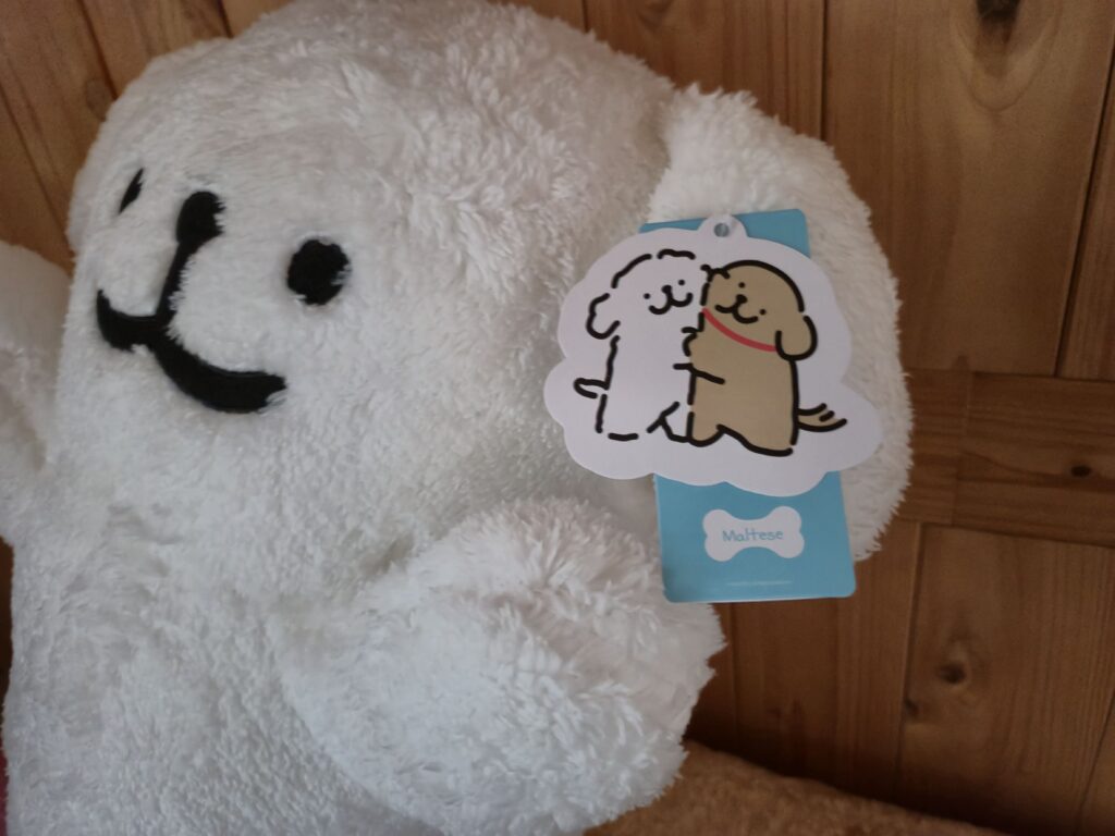 Foto detail boneka bantal guling Maltese dan Retriever Kakao yang diambil bersama dengan tag sertifikasi asli berbentuk awan
